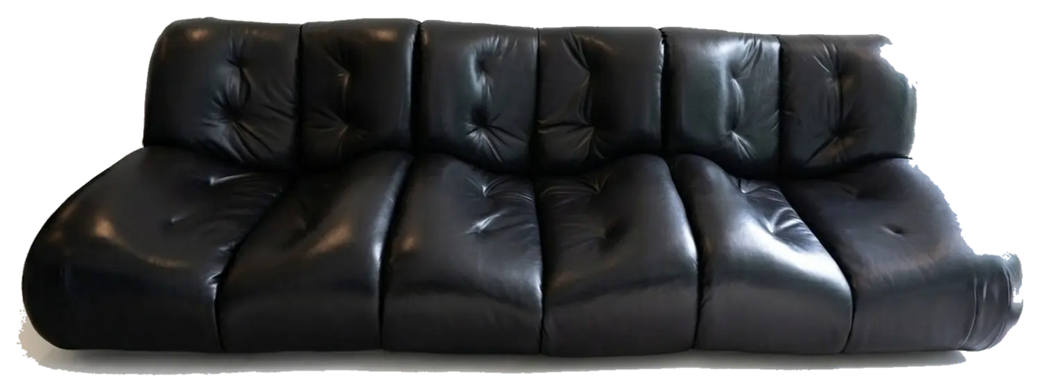Black leather sofa front view